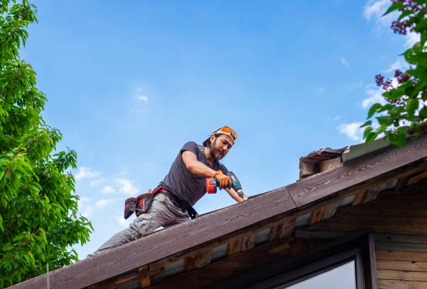 Best Storm Damage Roof Repair  in Winterset, IA