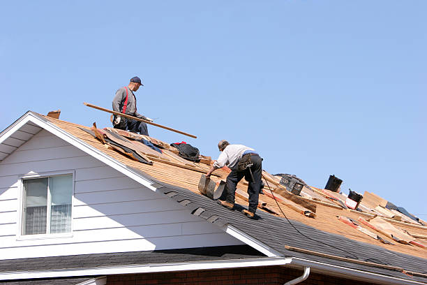 Best Roof Leak Repair  in Winterset, IA