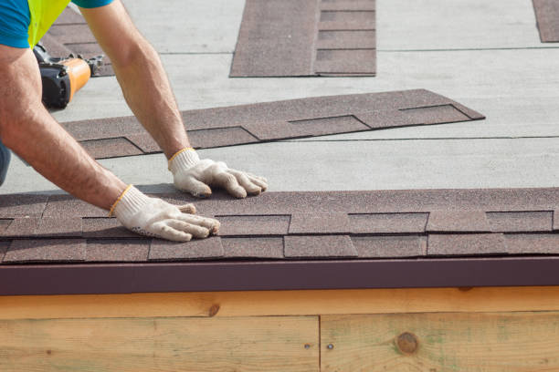 Best Roof Moss and Algae Removal  in Winterset, IA